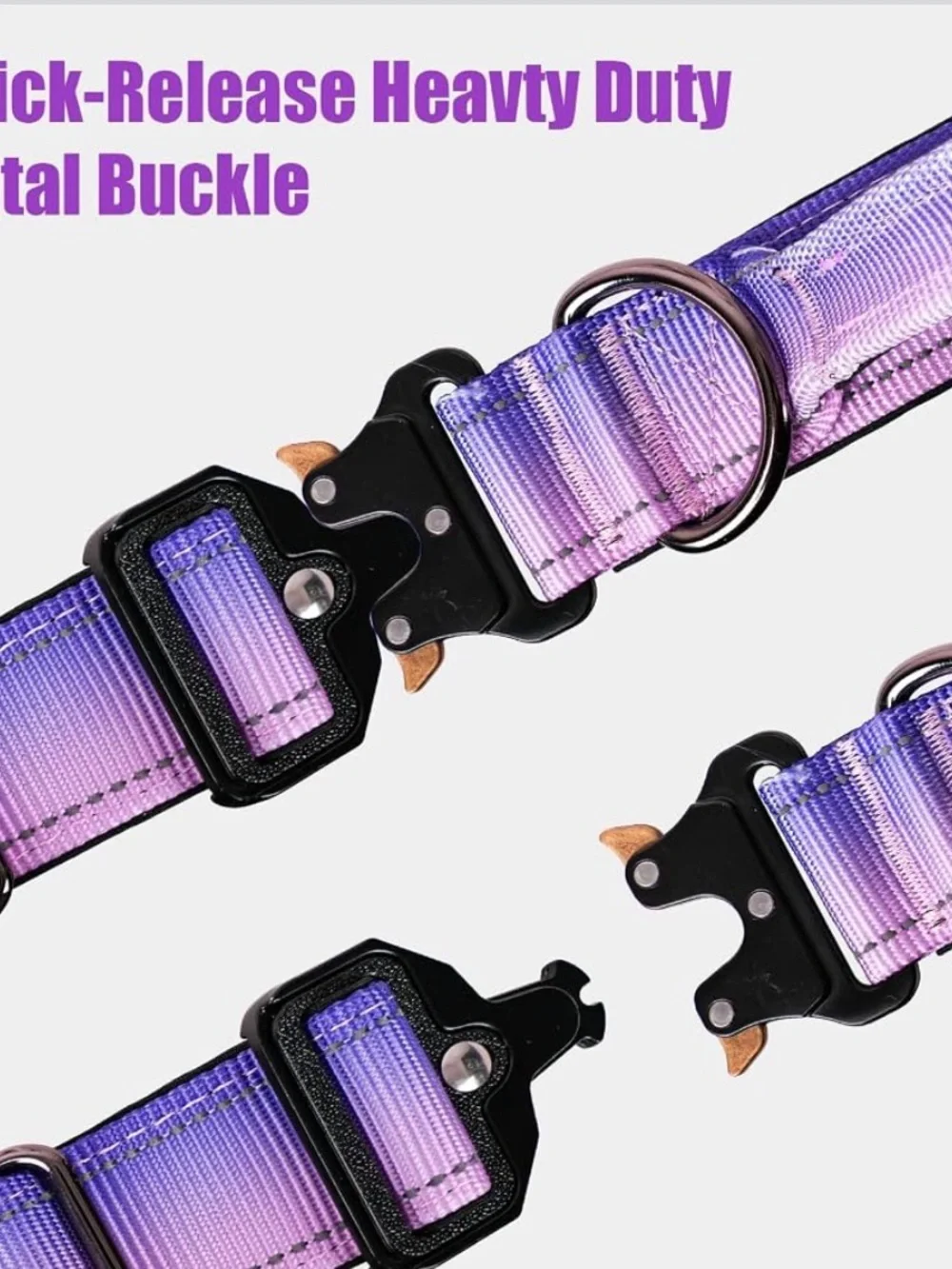 Reflective Purple Dog Collar for Night Walking